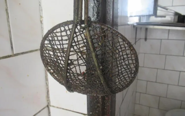 Plíseň v mrazáku, odpadky a špína. Inspekce zavřela kuchyň čínské restaurace na Smíchově