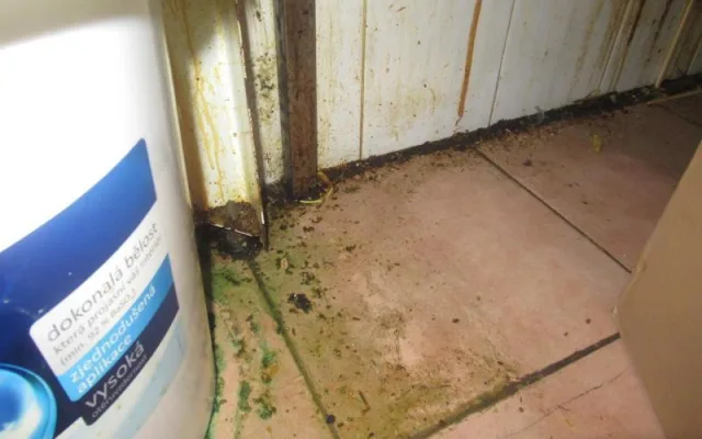 Plíseň v mrazáku, odpadky a špína. Inspekce zavřela kuchyň čínské restaurace na Smíchově