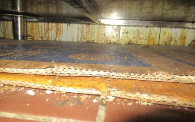 Plíseň v mrazáku, odpadky a špína. Inspekce zavřela kuchyň čínské restaurace na Smíchově