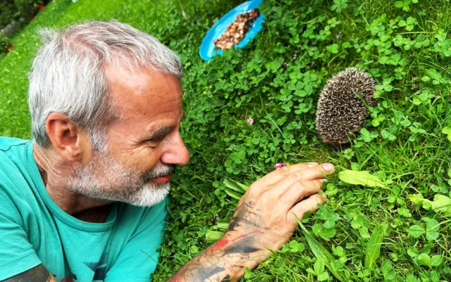 Máme na zahradě rodinku rozkošných ježků. Do záchranné stanice mláďata rozhodně neodneseme
