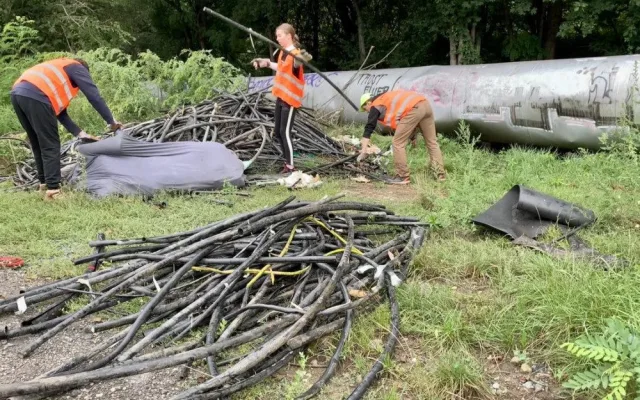 Podívejte se, jaké materiály převládaly na zlikvidované černé skládce