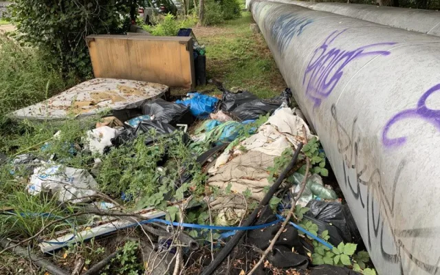Podívejte se, jaké materiály převládaly na zlikvidované černé skládce