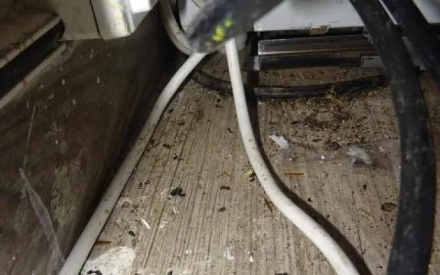 V Sapě zavřeli další restauraci, našli tam hmyz a myší bobky
