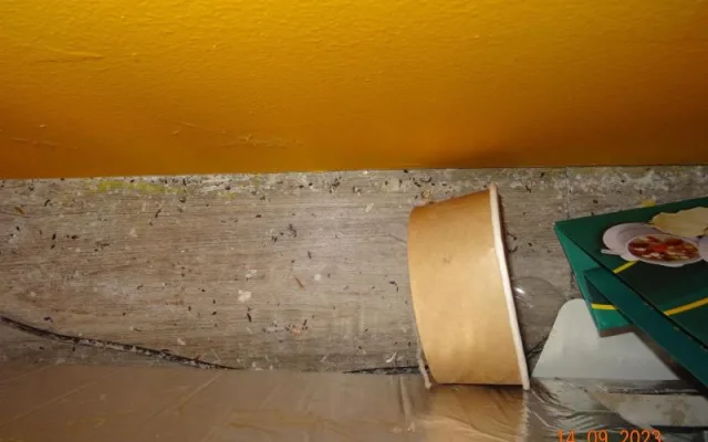 V Sapě zavřeli další restauraci, našli tam hmyz a myší bobky