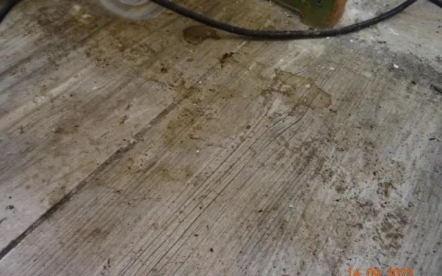V Sapě zavřeli další restauraci, našli tam hmyz a myší bobky