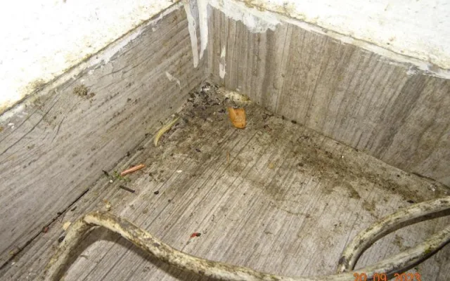 Plíseň, myší bobky. Potravinářská inspekce zavřela v Sapě už čvrtý podnik za měsíc
