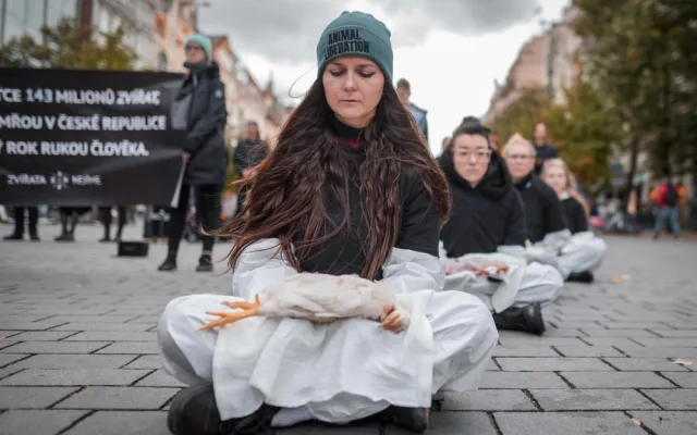 143 milionů mrtvých zvířat. Spolek Nejíme maso se dnes postavil za zvířecí práva