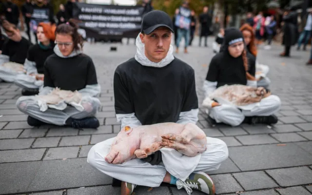 143 milionů mrtvých zvířat. Spolek Nejíme maso se dnes postavil za zvířecí práva