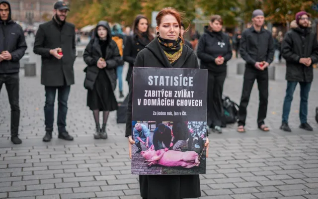143 milionů mrtvých zvířat. Spolek Nejíme maso se dnes postavil za zvířecí práva