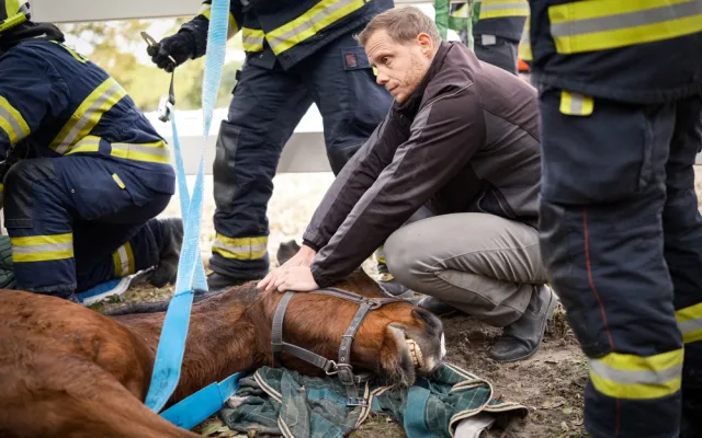VIDEO: Zraněný kůň se nemohl postavit na nohy. Pomohli mu hasiči s vyprošťovacím autem
