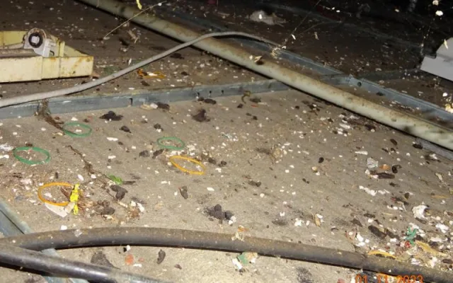 Děravý strop, myší bobky, plíseň. Obchod v Sapě kontrolou potravinářské inspekce neprošel