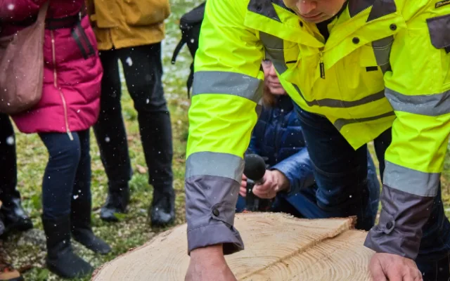 FOTOGALERIE: Vánoční strom pro Staroměstské náměstí pokácel mistr republiky. Zdobit ho začnou v úterý