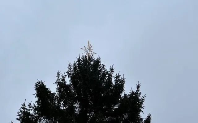 Vánoční strom dorazil do Prahy. Od noci stojí na Staroměstském náměstí