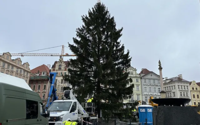 Vánoční strom dorazil do Prahy. Od noci stojí na Staroměstském náměstí
