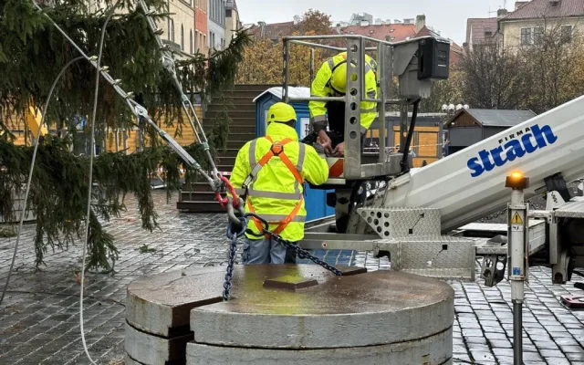 Vánoční strom dorazil do Prahy. Od noci stojí na Staroměstském náměstí