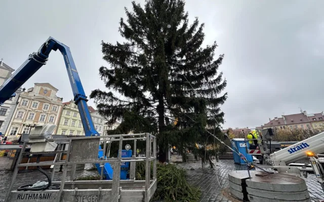 Vánoční strom dorazil do Prahy. Od noci stojí na Staroměstském náměstí
