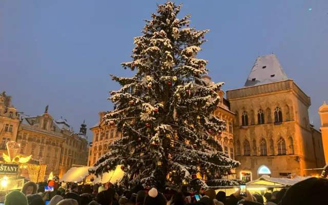 Vánoční strom na Staroměstském náměstí svítí, trhy jsou zahájeny