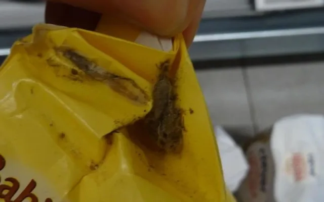 Billu v centru Prahy zamořil hmyz. Červi se prožrali moukou, cukrem i luštěninami