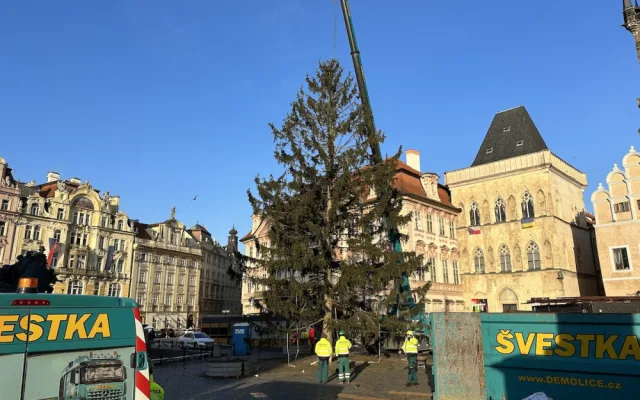 VIDEO: Vánoční strom na Staroměstské náměstí šel k zemi, kmen rozřežou na fošny