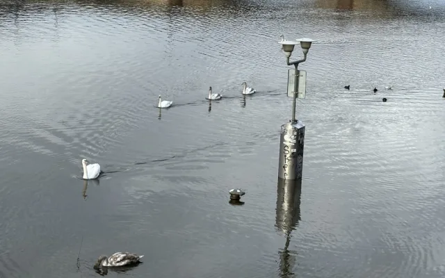 Na Vltavu se vrátí lodě, odstraní i protipovodňové zábrany. Náplavky město otevře jako poslední