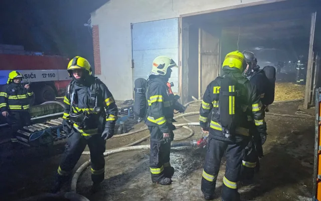 VIDEO: Při požáru haly plné kachňat zahynulo přes osm tisíc zvířat