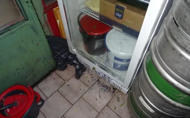 Mrtvý hmyz a všudypřítomná špína. Inspektoři po kontrole zavřeli asijskou restauraci