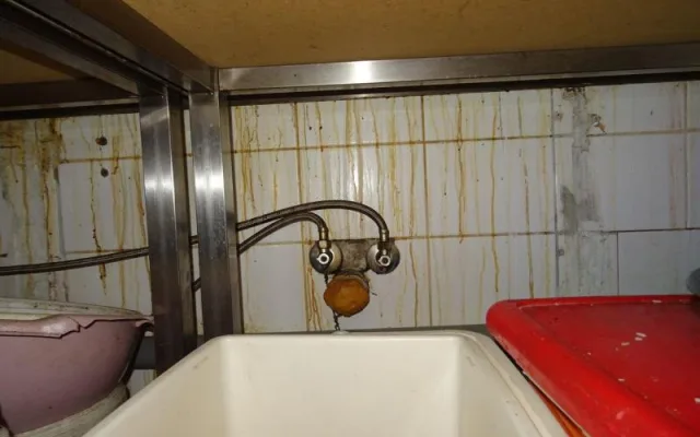 Mrtvý hmyz a všudypřítomná špína. Inspektoři po kontrole zavřeli asijskou restauraci
