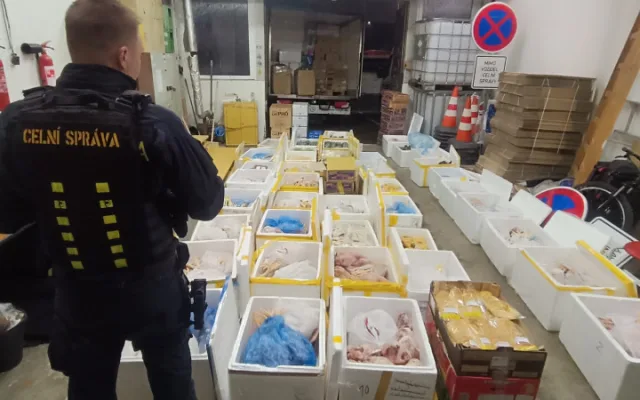 VIDEO: Muž tvrdil, že v autě veze ovoce a zeleninu. Byly v něm dvě tuny masa pochybného původu