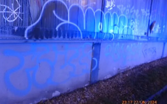 Vandala přistihly při činu hned dvě policejní hlídky najednou