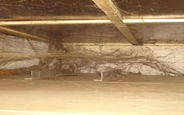 Myší bobky, pavučiny a prach. Večerku na Žižkově inspektoři zavřeli