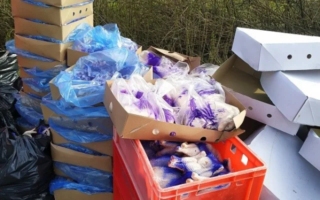 Kohouti s hlavou, kuřecí pařáty, přepravka plná žloutků. V Sapě našli víc než tunu pochybných potravin