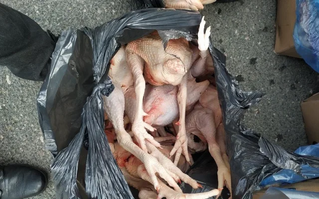Kohouti s hlavou, kuřecí pařáty, přepravka plná žloutků. V Sapě našli víc než tunu pochybných potravin