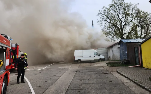 Hasiči v Nuslích zachránili z hořící budovy kočku