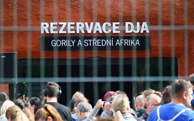 FOTOGALERIE: Legendární Jane Goodallová pokřtila gorilí samičku v pražské zoo. Vybrala pro ni jméno Gaia