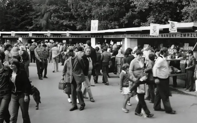 Země živitelka v roce 1980