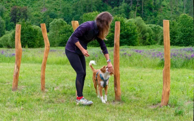 Otevření Purina psího hřiště v Sázavě ve Středočeském kraji