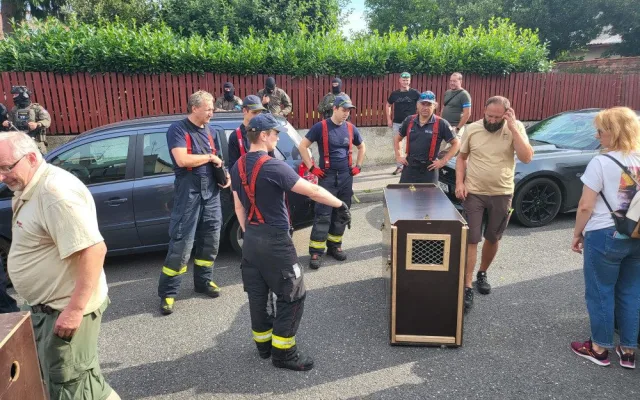 Na dvorku v Praze nelegálně chovali vlky. Majiteli je odebrali za dohledu policie