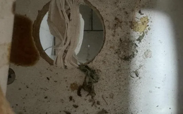 Plíseň, špína, myší bobky. Asijskou restauraci v Sapě inspektoři na místě zavřeli