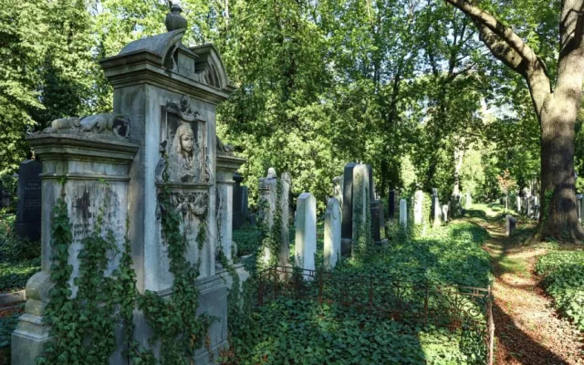 žižkovská kultůra