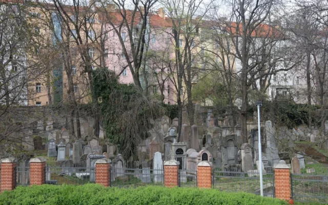 žižkovská kultůra