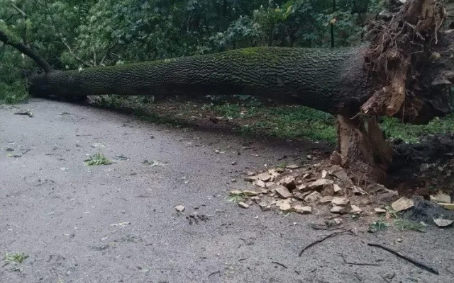 Obora Hvězda.