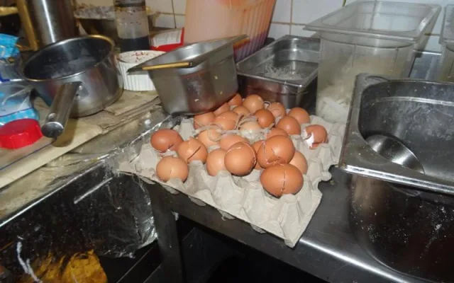 V restauraci v centru Prahy běhali švábi, neměla ani teplou vodu. Inspekce ji okamžitě zavřela