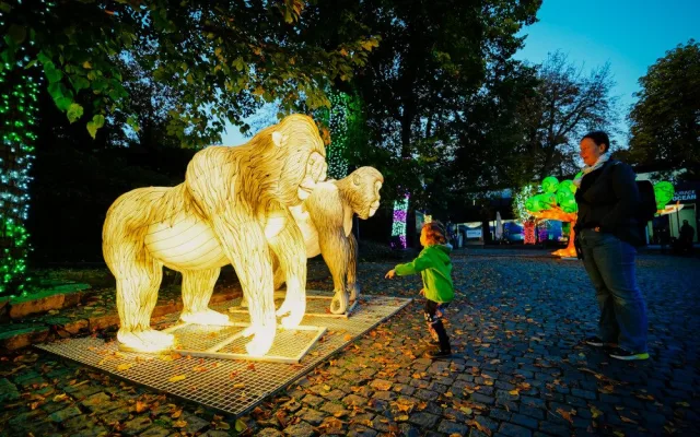 FOTOGALERIE: Gorily, nosorožci i sloni na dotek. Pražská zoo zve na lampionová zářící zvířata