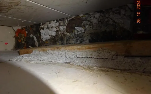 Hospodu Severka, dvojnici slavného podniku ze seriálu Most, museli zavřít. Našli tam mrtvé hlodavce