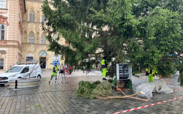 Technici v noci ukotvili vánoční strom na Staroměstském náměstí a začali se zdobením
