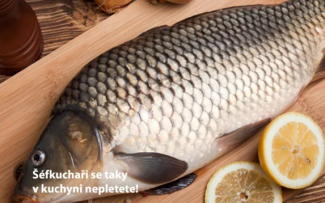 Praha zahájila kampaň za lepší zacházení s kapry, upozorňuje na jejich trápení při držení ve vaně nebo vypouštění do řek