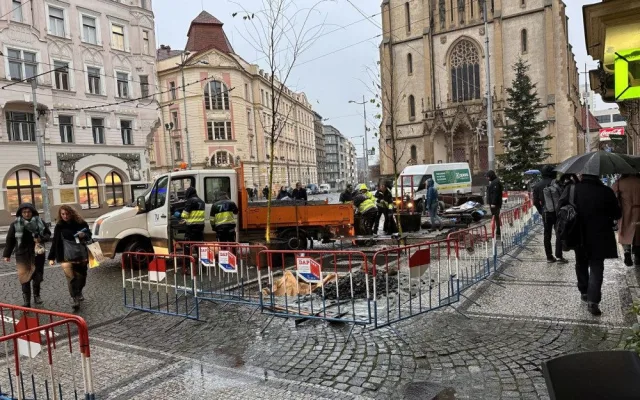 Na Strossmayerově náměstí se sází nové stromy. Město vybralo speciální odolné druhy, které se hodí do města