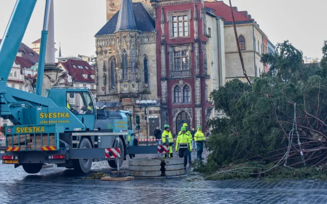 Vánoční strom už zmizel ze Staromáku, učni z něj vyrobí nábytek pro dětské centrum