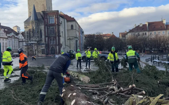 Vánoční strom už zmizel ze Staromáku, učni z něj vyrobí nábytek pro dětské centrum