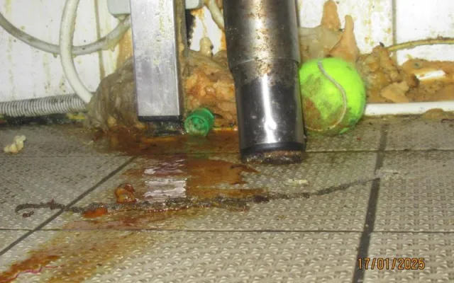 V oblíbené pražské restauraci se proháněly myši. Inspektoři ji na místě zavřeli